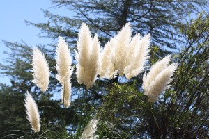 sedona Arezona2013 052