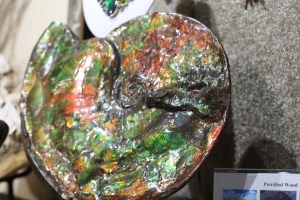 sedona Arezona2013 279