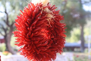 sedona Arezona2013 978